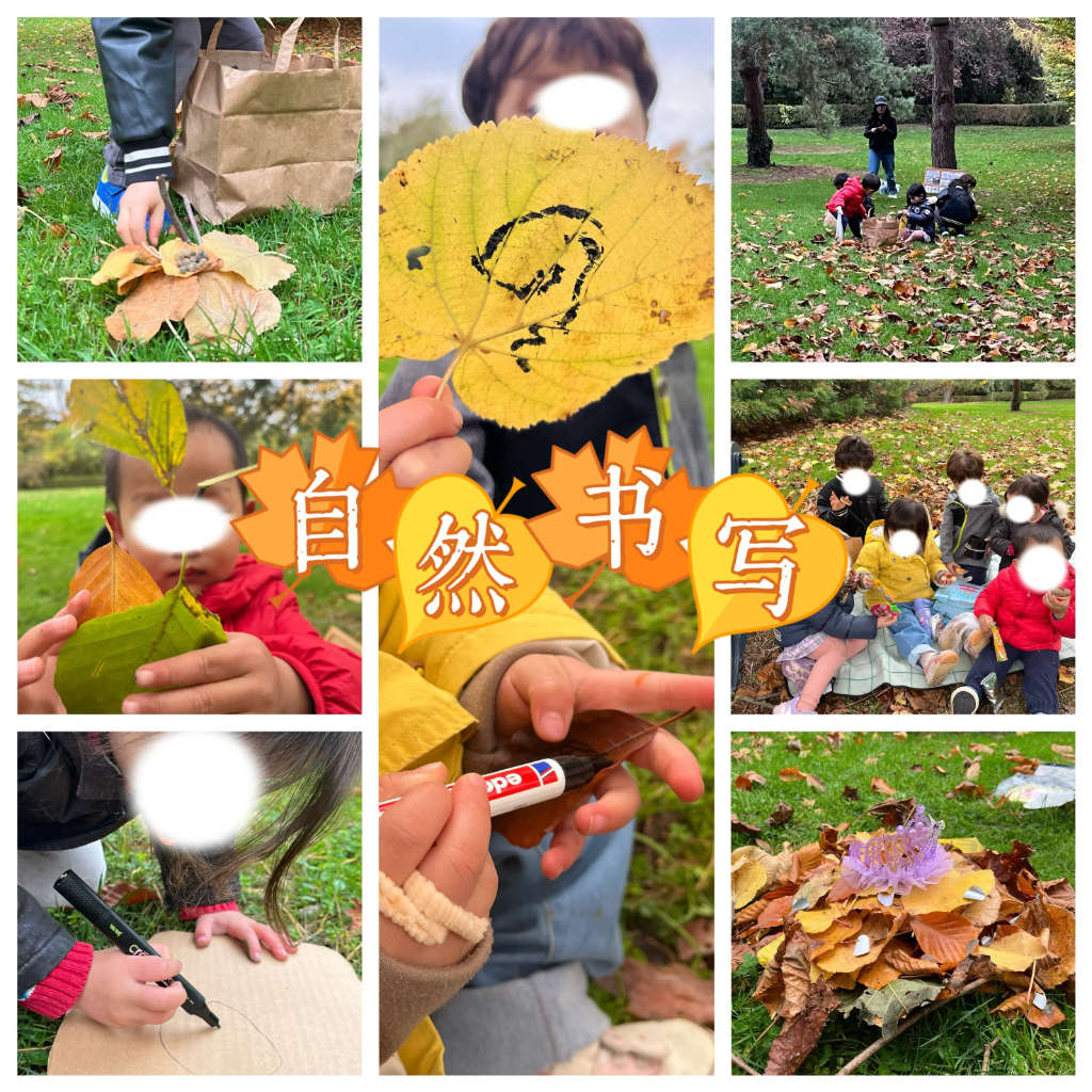 往届回顾照片 1